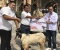 Jelang Idul Adha 1438 H, Telkomsel Salurkan Paket Hewan Kurban 